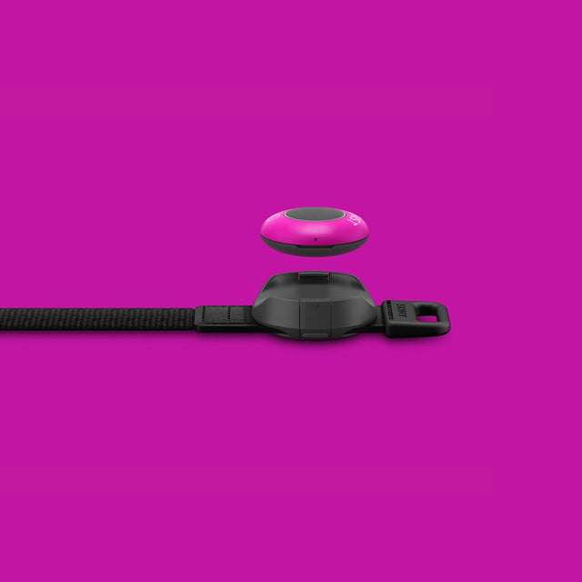 Sony mocopi™ + Rokoko Studio Plus